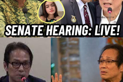 🔥CESAR MONTANO DUMULOG SA SENATE HEARING! ROBIN PADILLA TODO SUPORTA SA HUSTISYA LABAN KAY ATONG!(DG)