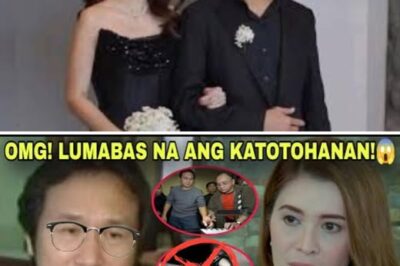 Shocking Revelation: Suspect Identified in Embezzlement of Sunshine Cruz’s Fortune (DG)