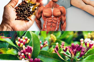 Before bed, take only one drop of oil with cloves. Look like you’re thirty again!!!