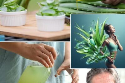 Revitalizing Your Health with Aloe Vera Juice: A Timeless Tradition of Wellness