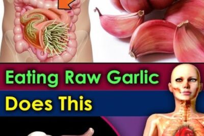 The Nightly Benefits of Eating Raw Garlic Before Bed