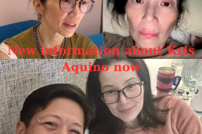 Kris Aquino’s Heartbreak: The Untold Story Behind the Breakup That Shocked Fans! (ĐH)