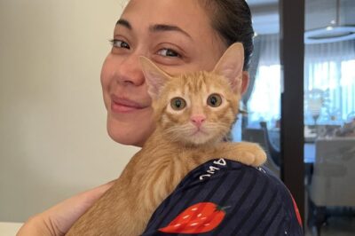Jodi Sta. Maria on her 3 fur babies: ‘So blessed to have them in my life’