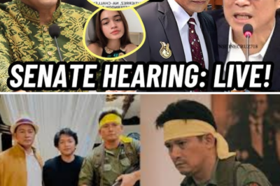 Cesar Montano Appears at Senate Hearing! Robin Padilla Fully Supports the Fight for Justice Against Atong Ang! /lo