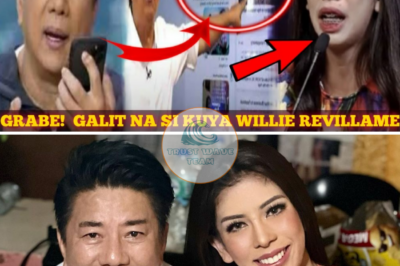 Grabe! Marami Ang Nagulat Sa Inalok Ni Willie Revillame Kay Herlene Budol