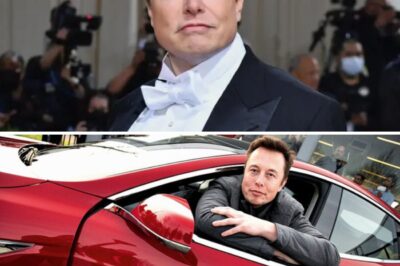 Causing a series of controversies that made Tesla ‘suffer’, Elon Musk was dug up for an extremely ‘extravagant’ statement after losing more than 100 billion USD
