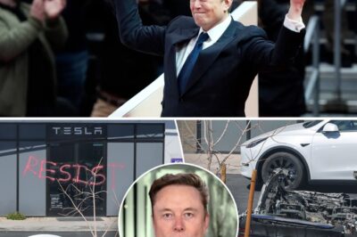 Elon Musk “exposed” the plot to assassinate and destroy Tesla, “they want to kill me because I stopped corruption”