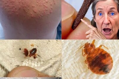 Natural Pest Control: Safely Eliminate Bed Bugs and Household Pests with Diatomaceous Earth and Cloves(DG)