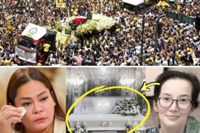 Hulaan ni Rudy Baldwin ang Pag-alis ni Kris Aquino sa 2025! NAKAKAGULAT NA REBELASYON, Nagulat ang mga Tagahanga!