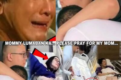 KALUNOS-LUNOS! HAGULGOL sina Josh at Bimby matapos ang BIGLAANG PAGKASUBO ni Kris Aquino – May hindi na ba siya mababawi pa?! (DG)