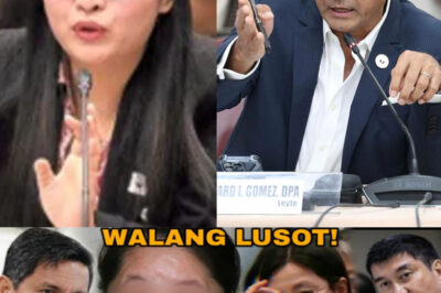 INA NI ALICE GUO NAKITA NA | ALICE GUO PINAPAUWI NA SA CHINA | RICHARD GOMEZ NAGBABALA! RAFFY TULFO (DG)
