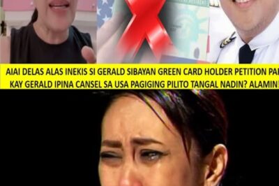 AiAi Delas Alas Shocks the Public: Gerald Sibayan’s Green Card Revoked, Pilot Career in Jeopardy! (NG)