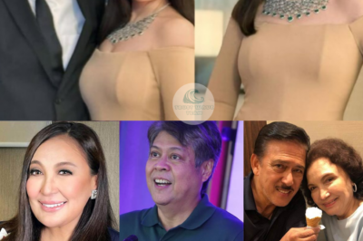 Sharon Cuneta Apologizes for Not Attending Kiko Pangilinan’s Political Rally. /lo