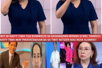 Mel Tiangco Gets Caught in a Scandal Over Raffy Tima’s Tweet; Netizens Go Wild, Find Out Why! /lo