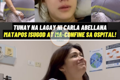 Tunay Na Lagay Ni Carla Abellana Matapos Isugod Sa Ospital at Ma-Confine Ng Ilang Araw!