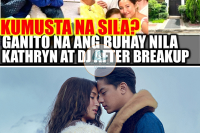 Buhay Ni Kathryn at Daniel Padilla Ibang-Iba Na Matapos Ang Breakup, Career Ni Daniel Naapektuhan?