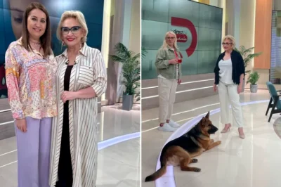 Mihaela Tatu a dezvăluit de ce nu mai face emisiunea „În direct cu România” de la Antena 1: „S-a schimbat totul peste noapte” (NG)