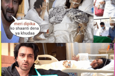 Good News for Dipika Kakar Fans: Shoaib Shares Update After ICU Discharge