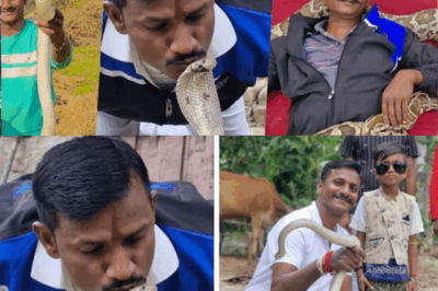 Bitten by a Cobra, Killed by His Calling: Inside the Tragic End of Jay Sahni, the Snake Messiah