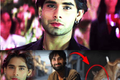 The Shocking Truth Behind Nakul Kapoor: Did Dogs Really Attack This Bollywood Star?