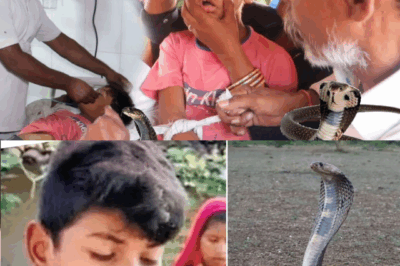 Child Attacked by Snake at Home – Dramatic Rescue Stuns Everyone