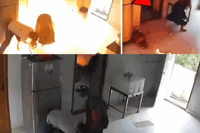 House Shattered by LPG Blast: Couple’s Miraculous Escape Stuns Neighborhood