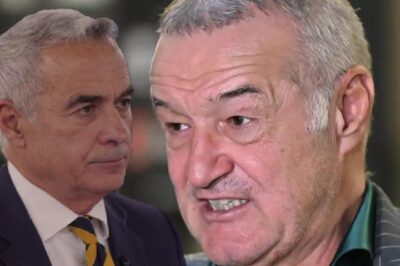 Gigi Becali nu mai poate fi oprit. Dezvăluiri grave din interior despre Călin Georgescu. Ce a putut să spună, pune pe jar situația — Vezi in primul comentariu👇