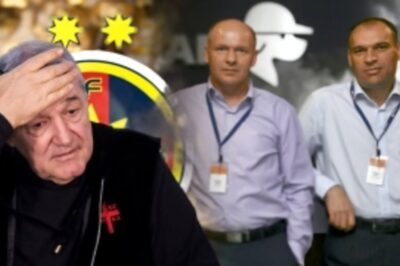 Fraţii Dedeman fac revoluţie în România! Iau totul de la 0. Investiția uriaşă pe care o pregătesc