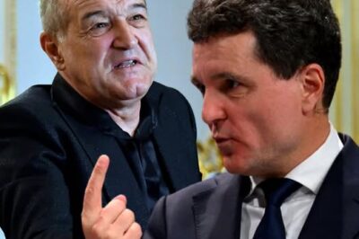 Gigi Becali face lumină în cazul procesului de 700.000 de euro câștigat cu Primăria Capitalei: „Nicușor Dan voia banii înapoi”