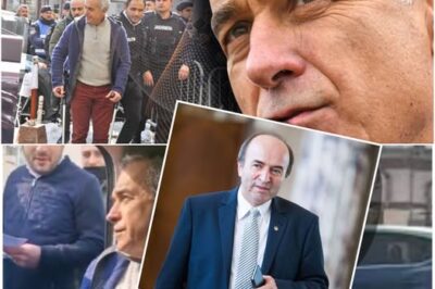 Tudorel Toader crede că precedentul „Şoşoacă” se va aplica lui Călin Georgescu: Precedentul nu se referă la o persoană, se referă la o soluție de principiu, o soluție faptică, legislativă”
