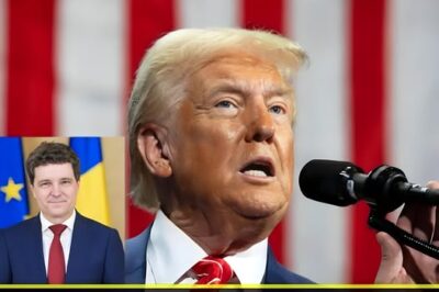 Abia acum s-a aflat adevărul. Ce i-a zis Donald Trump lui Nicușor Dan. Întreaga planetă a rămas mirată