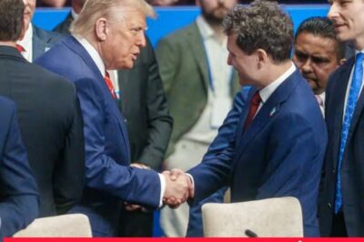 Donald Trump i-a strâns mâna lui Nicuşor Dan, la Summitul NATO de la Haga