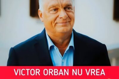 De ce nu vrea Viktor Orban Ucraina în UE. „Ne va absorbi toţi banii, ca un burete”