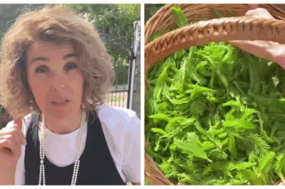 Cristela Georgescu readuce la viață un remediu vechi, ascuns în „farmacia verde” din grădină 🍃