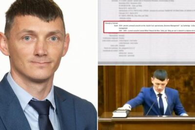 Video Cum şi-a falsificat un senator POT CV-ul: Paul Pintea are doar 10 clase, calificarea zidar și studii la “academia matrimonială”