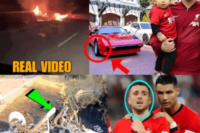 What Happened to Diogo Jota? Burnt Lamborghini Sparks Panic After Accident