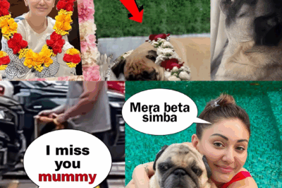 Shefali Jariwala’s Dog Simba Cries Endlessly After Her Death, Parag Tyagi Says He’s in Fragile State