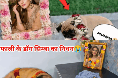Heartbreak for Shefali Jariwala: Beloved Dog Simba Passes Away After 4 Days of Starvation