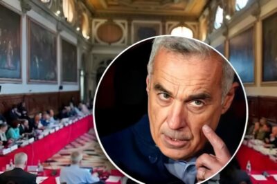 Comisia de la Veneţia, în Parlamentul României, este scandal pe anularea alegerilor prezidenţiale.