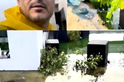 Liviu Vârciu s-a ales cu pagube uriașe după furtuna din București. A lăsat în urmă dezastru la vila lui: “A fost uragan sigur” VIDEO