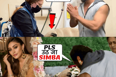 Simba Faints in Grief: Parag Tyagi’s Tearful Plea for His Dog’s Life Will Break Your Heart