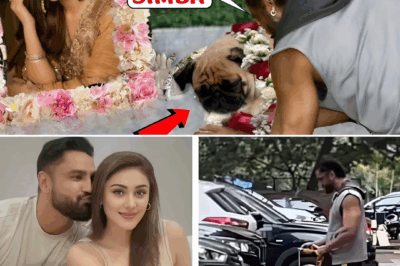 Emotional Moment: Parag Tyagi’s Dog Faints Beside Shefali’s Picture, Actor Left in Tears