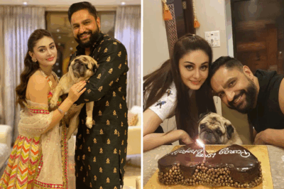 What Happened to Simba After Shefali Jariwala’s Death? The Painful Truth
