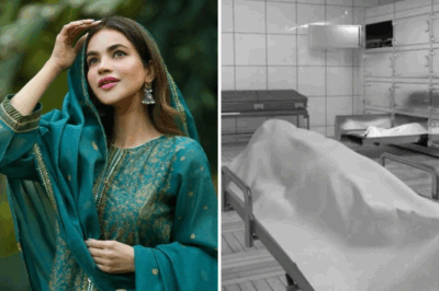Humaira Asghar’s Final Voice Note and Postmortem Report Leave Fans Stunned